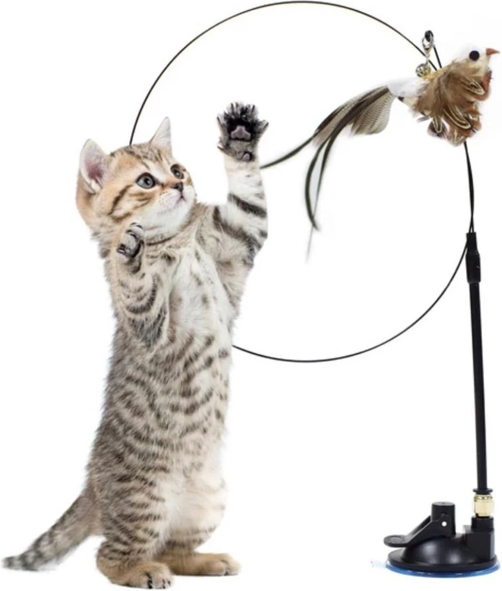 Kattenspeeltje – Kattenhengel – Kattenspeeltjes – Hengel Met Vogel – Huisdieren Speeltjes – Katten 3 Kattenspeeltje – Kattenhengel – Kattenspeeltjes – Hengel Met Vogel – Huisdieren Speeltjes – Katten