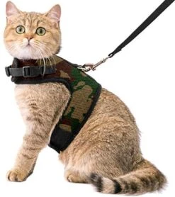 Kattentuigje Met Leiband Riem Kattenharnas Camouflage Maat L Kat & Kitten – Dieren Kattenriem – Cat Leash – Halsomvang 24 Tot 33cm – Borstomvang 36 Tot 41cm – Zootic®