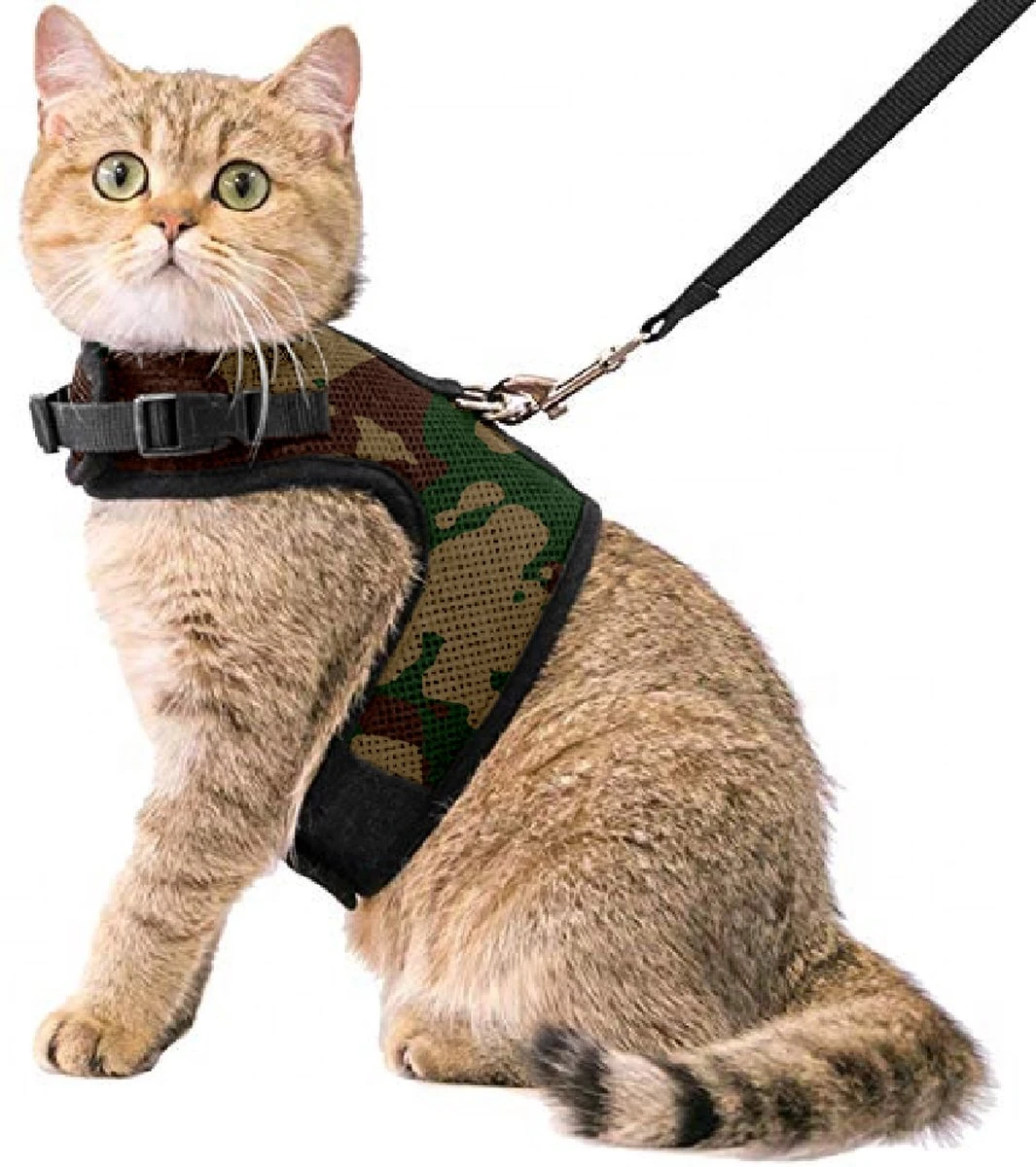 Kattentuigje Met Leiband Riem Kattenharnas Camouflage Maat L Kat & Kitten – Dieren Kattenriem – Cat Leash – Halsomvang 24 Tot 33cm – Borstomvang 36 Tot 41cm – Zootic®