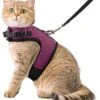 Kattentuigje Met Leiband Riem Kattenharnas Paars Maat L Kat & Kitten – Dieren Kattenriem – Cat Leash – Halsomvang 24 Tot 33cm – Borstomvang 36 Tot 41cm – Zootic® -Dieren Benodigdheden Winkel 1065x1200