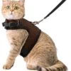 Kattentuigje Met Leiband Riem Kattenharnas Bruin Maat M Kat & Kitten – Dieren Kattenriem – Cat Leash – Halsomvang 20 Tot 26cm – Borstomvang 30 Tot 34cm – Zootic® 1 Kattentuigje Met Leiband Riem Kattenharnas Bruin Maat M Kat & Kitten – Dieren Kattenriem – Cat Leash – Halsomvang 20 Tot 26cm – Borstomvang 30 Tot 34cm – Zootic® -Dieren Benodigdheden Winkel 1065x1200 2