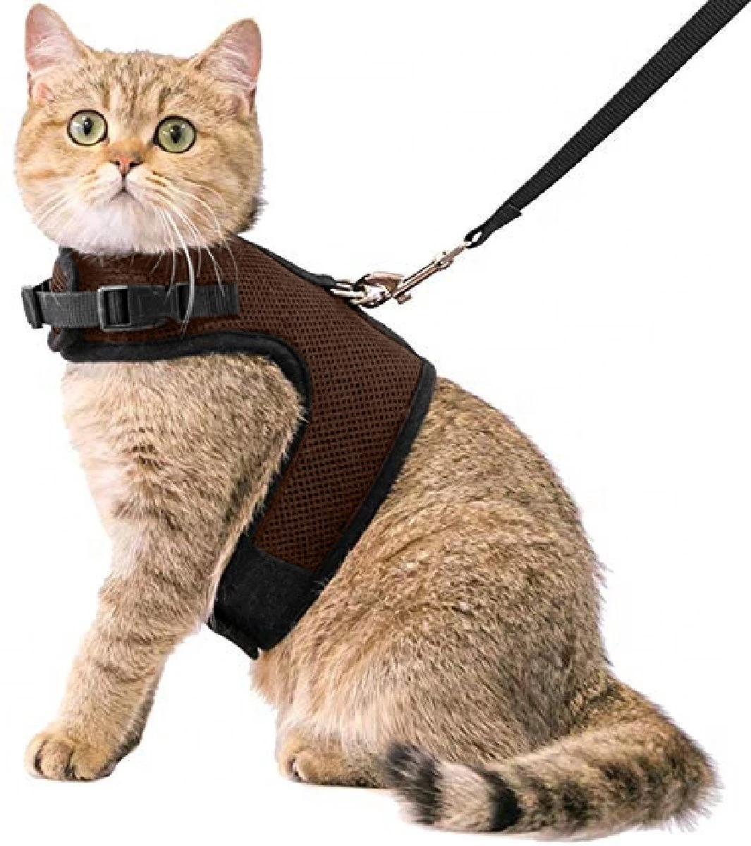Kattentuigje Met Leiband Riem Kattenharnas Bruin Maat M Kat & Kitten – Dieren Kattenriem – Cat Leash – Halsomvang 20 Tot 26cm – Borstomvang 30 Tot 34cm – Zootic®