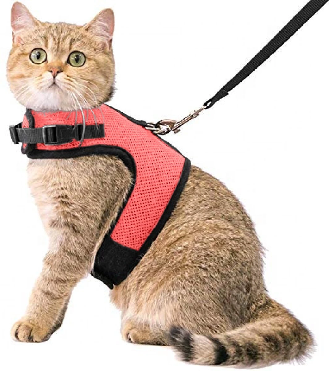 Kattentuigje Met Leiband Riem Kattenharnas Roze Maat L Kat & Kitten – Dieren Kattenriem – Cat Leash – Halsomvang 24 Tot 33cm – Borstomvang 36 Tot 41cm – Zootic®