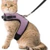 Kattentuigje Met Leiband Riem Kattenharnas Licht Paars Maat L Kat & Kitten – Dieren Kattenriem – Cat Leash – Halsomvang 24 Tot 33cm – Borstomvang 36 Tot 41cm – Zootic® -Dieren Benodigdheden Winkel 1065x1200 7