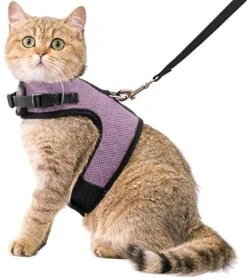Kattentuigje Met Leiband Riem Kattenharnas Licht Paars Maat L Kat & Kitten – Dieren Kattenriem – Cat Leash – Halsomvang 24 Tot 33cm – Borstomvang 36 Tot 41cm – Zootic®
