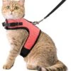 Kattentuigje Met Leiband Riem Kattenharnas Roze Maat S Kat & Kitten – Dieren Kattenriem – Cat Leash – Halsomvang 15 Tot 20cm – Borstomvang 25 Tot 30cm – Zootic® 2 Kattentuigje Met Leiband Riem Kattenharnas Roze Maat S Kat & Kitten – Dieren Kattenriem – Cat Leash – Halsomvang 15 Tot 20cm – Borstomvang 25 Tot 30cm – Zootic® -Dieren Benodigdheden Winkel 1065x1200 8