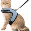 Kattentuigje Met Leiband Riem Kattenharnas Blauw Variant Maat M Kat & Kitten – Dieren Kattenriem – Cat Leash – Halsomvang 20 Tot 26cm – Borstomvang 30 Tot 34cm – Zootic® -Dieren Benodigdheden Winkel 1065x1200 9