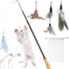 Kattenvishengel, Interactief Intrekbaar Kattenspeelgoed Met Ergonomisch Houten Handvat, 4 Stuks Reserve Dierenveren Hangers En 3 Reserve Linten, Kattenspeelgoed Voor Kittens En Katten -Dieren Benodigdheden Winkel 1178x1200