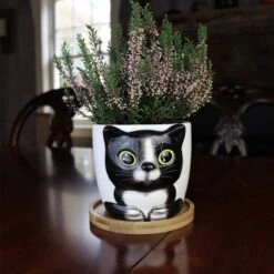 Window Garden Cat Plant Large Kitty Pot Voor Kamerplanten, Vetplanten, Bloemen En Kruiden-schattige Plantenbakken, Geweldig Cadeau Voor Kattenliefhebbers Voor Kerstmis (Sebby)