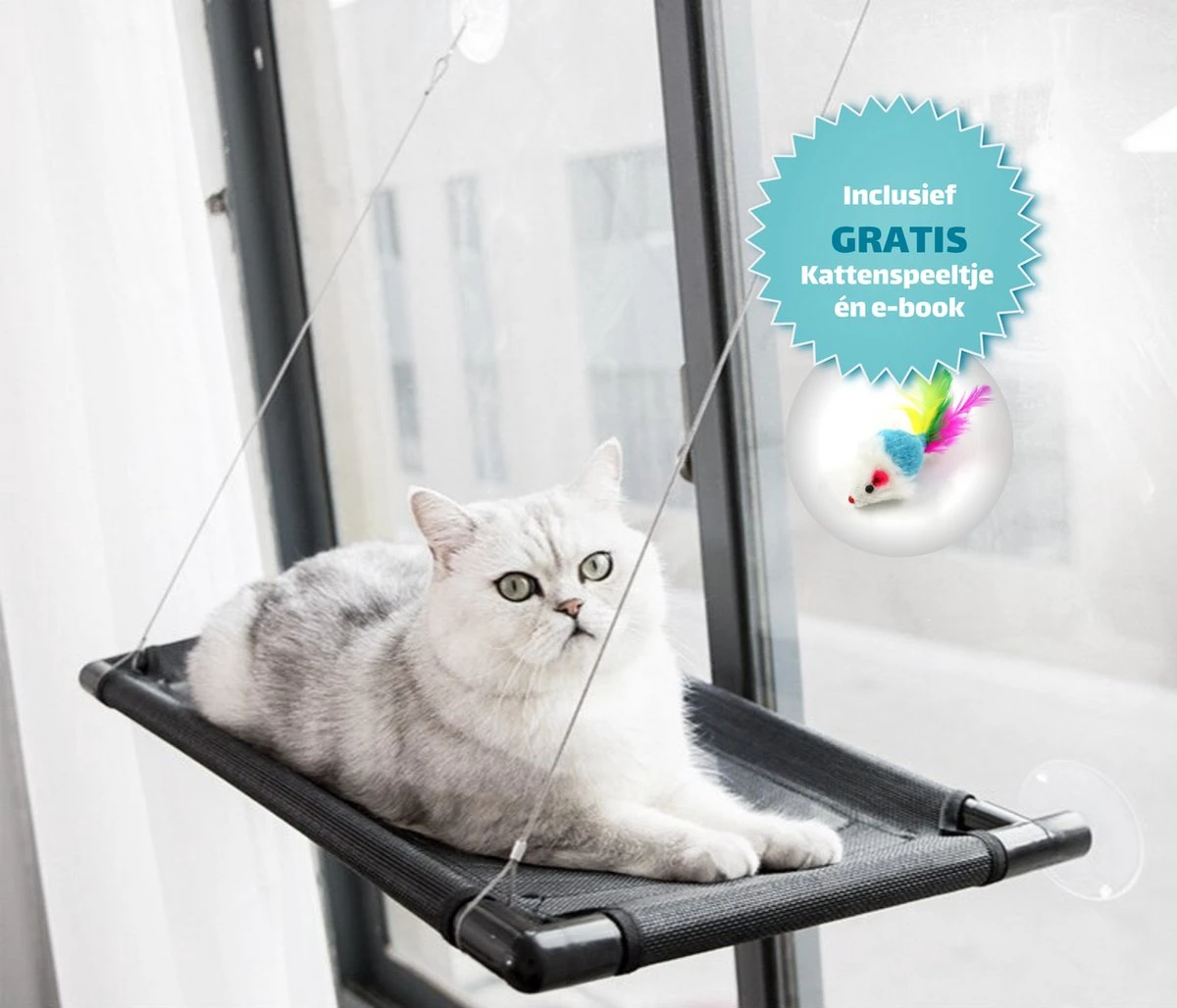 Kattenmand Voor Aan Het Raam – Kattenbed – Hangmat Kat – Kattenhangmat – Zwart – Incl. GRATIS E-Book & Kattenspeeltje! 3 Kattenmand Voor Aan Het Raam – Kattenbed – Hangmat Kat – Kattenhangmat – Zwart – Incl. GRATIS E-Book & Kattenspeeltje!