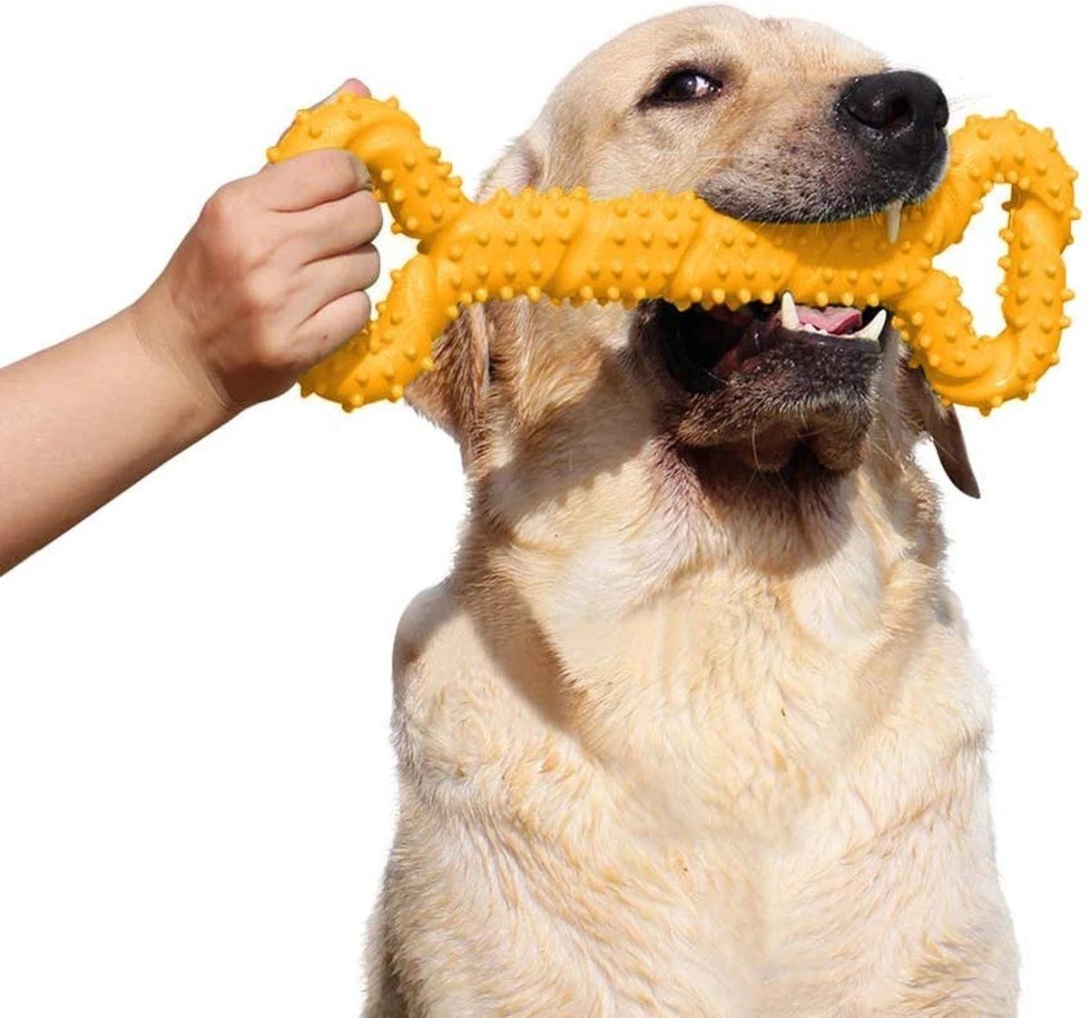 Duurzame Hond Kauwspeelgoed 13 Inch Bone Shape Puppy Kauwspeelgoed Met Convex Ontwerp Sterke Knuffel Speelgoed Voor Agressieve Chewers Medium En Grote Honden Tandenreiniging 3 Duurzame Hond Kauwspeelgoed 13 Inch Bone Shape Puppy Kauwspeelgoed Met Convex Ontwerp Sterke Knuffel Speelgoed Voor Agressieve Chewers Medium En Grote Honden Tandenreiniging