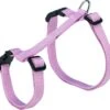 Trixie Tuig Voor Kat Met Riem Assorti 34-57 Cm/13mm 120 Cm -Dieren Benodigdheden Winkel 1200x1128 1