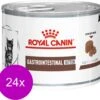 Royal Canin Veterinary Diet Gastro Intestinal Kitten Blik – Kattenvoer – 24 X 195 G -Dieren Benodigdheden Winkel 1200x1148