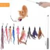 Kattenhengel – Set Van 11 – 1 Hengel En 10 Hangers – Interactief Speelgoed Voor Kat Of Kitten – Anti Slip Handvat -Dieren Benodigdheden Winkel 1200x1167 2