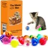 Allerion Kattenspeelgoed Balletjes Set – Katten Speeltjes Intelligentie – 42-delig – Plastic Balletjes – Verschillende Vormen En Kleuren -Dieren Benodigdheden Winkel 1200x1190