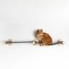 RHRQuality Wandmeubel Klimmuur Kat – Muur Brug (Grijs) 1 RHRQuality Wandmeubel Klimmuur Kat – Muur Brug (Grijs) -Dieren Benodigdheden Winkel 1200x1200 50