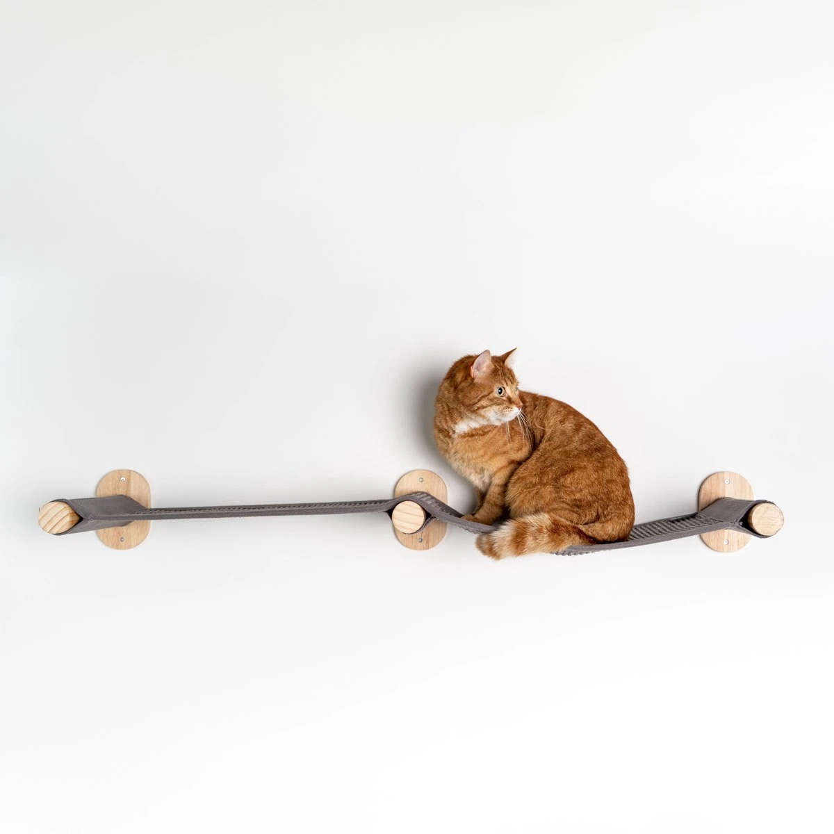 RHRQuality Wandmeubel Klimmuur Kat – Muur Brug (Grijs) 3 RHRQuality Wandmeubel Klimmuur Kat – Muur Brug (Grijs)