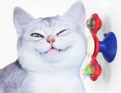 Windmolen Kat Speelgoed Interactieve Huisdier Speelgoed Voor Katten Puzzel Kat Game Speelgoed Met Draaimolen Draaitafel Voor Kitten Borstel Tanden Huisdier