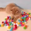 Grappige Kat Interactieve Aandacht 100 Ballen Schieten Springen Training Speelgoed Creatieve Kitten Mini Pompons Spellen 1 Grappige Kat Interactieve Aandacht 100 Ballen Schieten Springen Training Speelgoed Creatieve Kitten Mini Pompons Spellen -Dieren Benodigdheden Winkel 1200x981
