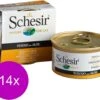 Schesir Kat Blik Gelei Vis 85 G – Kattenvoer – 14 X Tonijn&Aloë Vera -Dieren Benodigdheden Winkel 1200x995