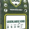 Groenlandse Hond 2 Groenlandse Hond -Dieren Benodigdheden Winkel 596x1200 1