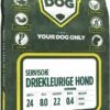 Servische Driekleurige Hond 1 Servische Driekleurige Hond -Dieren Benodigdheden Winkel 596x1200