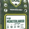 Kleine Münsterlander -Dieren Benodigdheden Winkel 596x1200 17