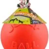 Jolly Ball Romp-n-Roll – Honden Speelbal Met Vanillegeur – Hondenspeelgoed Met Stevig Trektouw – Oranje – Ø 15 Cm -Dieren Benodigdheden Winkel 638x1200
