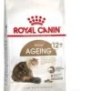 Royal Canin Ageing +12 Kattenvoer 2x 400 Gr -Dieren Benodigdheden Winkel 748x1200