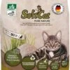 Soft Cat Licht Gewicht Kattenbakvulling Van Gras 17L 2 Soft Cat Licht Gewicht Kattenbakvulling Van Gras 17L -Dieren Benodigdheden Winkel 771x1200