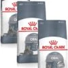 Royal Canin Fcn Oral Care – Kattenvoer – 3 X 1.5 Kg -Dieren Benodigdheden Winkel 777x1200