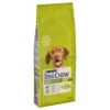2x14kg Adult Lam Dog Chow Hondenvoer 1 2x14kg Adult Lam Dog Chow Hondenvoer -Dieren Benodigdheden Winkel 82100 pla dog chow adult medium lamb 14k 3