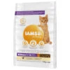 10kg Kitten & Junior IAMS Vitality Kattenvoer -Dieren Benodigdheden Winkel 83718 pla iams vitality katzchen frischemhuhn hs 01 3