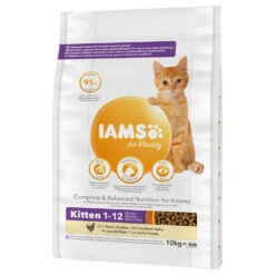 10kg Kitten & Junior IAMS Vitality Kattenvoer