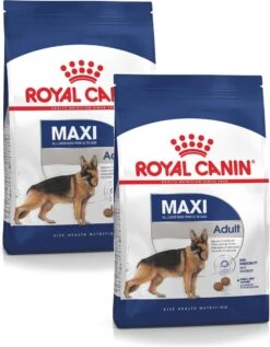 Royal Canin Shn Maxi Adult – Hondenvoer – 2 X 4 Kg