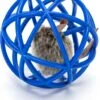 Nobleza Kattenbal Met Piepende Muis – Kitten Speelgoed – Kattenspeelgoed – Katten Speelbal – Speelmuis – Piepende Muis – Katten Muis – Blauw -Dieren Benodigdheden Winkel 976x1200