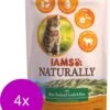 Iams Naturally Cat Adult Lam&Rijst – Kattenvoer – 4 X 700 G -Dieren Benodigdheden Winkel 980x1200