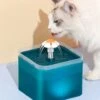Loha-party Drinkfontein Voor Katten En Honden – Drinkfontein Kat – Waterfontein Met Filter – Kattenfontein – Drinkfontein Hond – Waterbak – Drinkbak – 2L – Blauw 2 Loha-party Drinkfontein Voor Katten En Honden – Drinkfontein Kat – Waterfontein Met Filter – Kattenfontein – Drinkfontein Hond – Waterbak – Drinkbak – 2L – Blauw -Dieren Benodigdheden Winkel 982x1200 2
