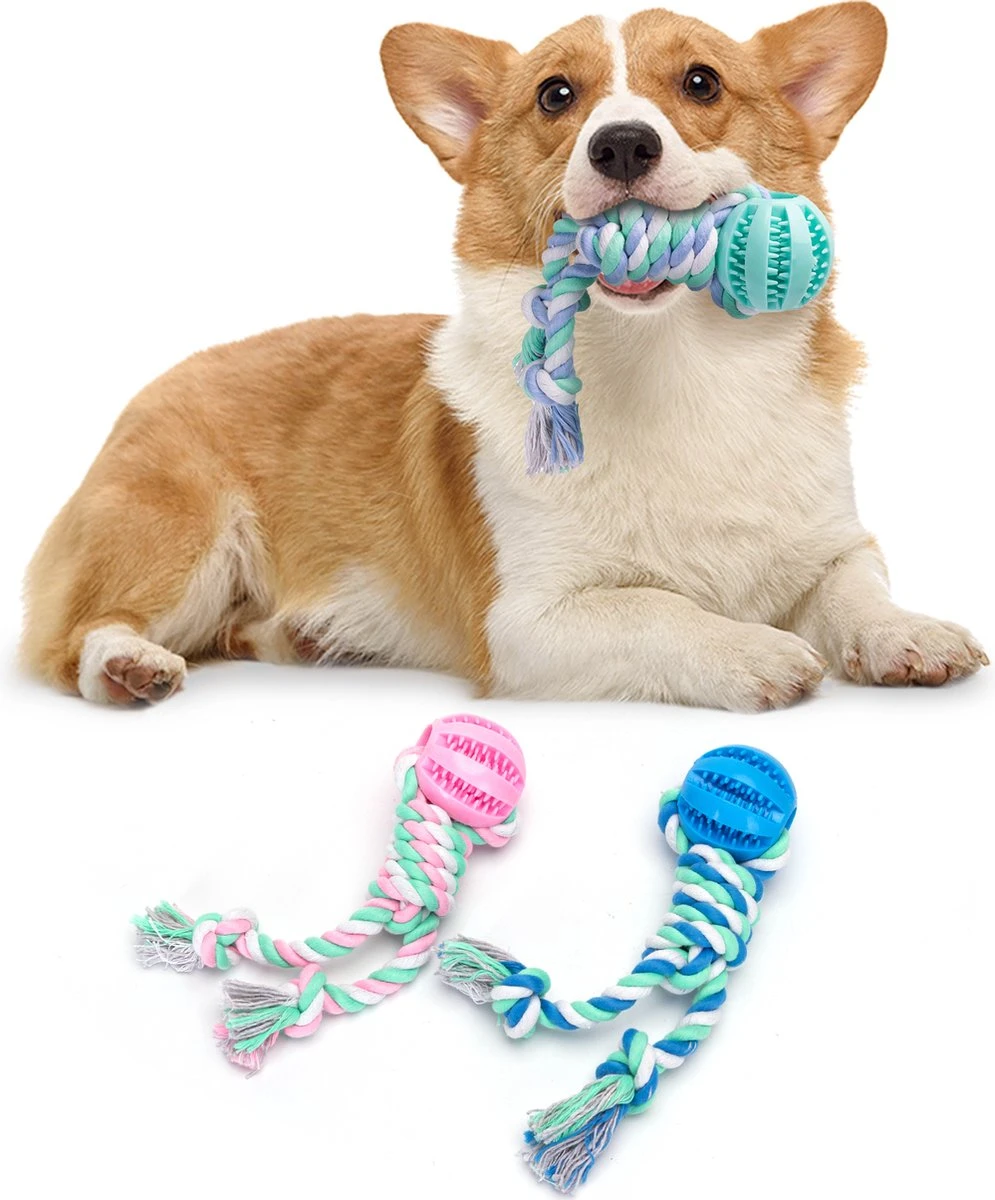 Nobleza A3A – Flostouw Met Snackbal – Honden Speelgoed – D6 X L25CM – 3 Stuks 3 Nobleza A3A – Flostouw Met Snackbal – Honden Speelgoed – D6 X L25CM – 3 Stuks